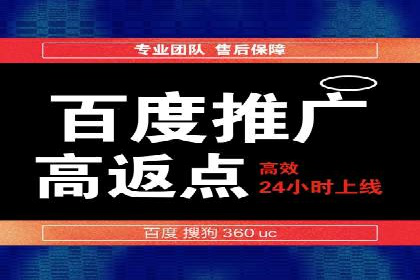sem竞价托管代运营的实战技巧与案例